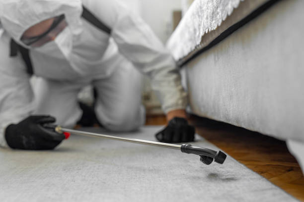 Professional Bed Bug Control technician working in Westwood, NJ