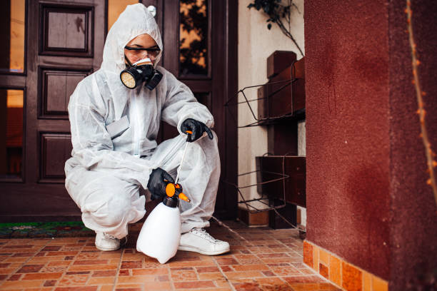 Reliable Bed Bug Control contractor in Westwood, NJ by Nex Pest Control