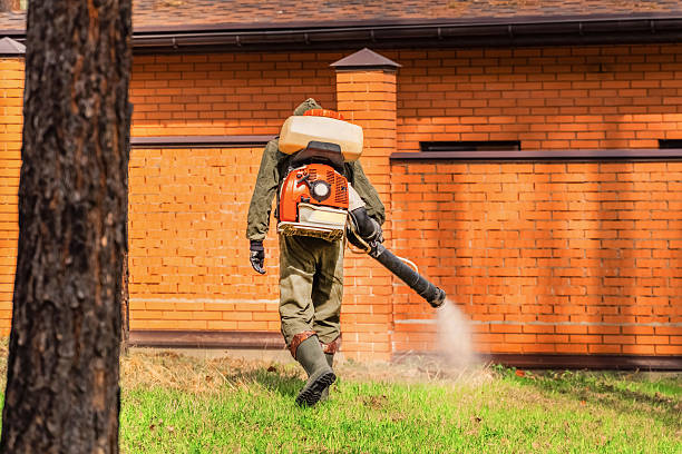 Trusted Bed Bug Control service in Westwood, NJ - Nex Pest Control